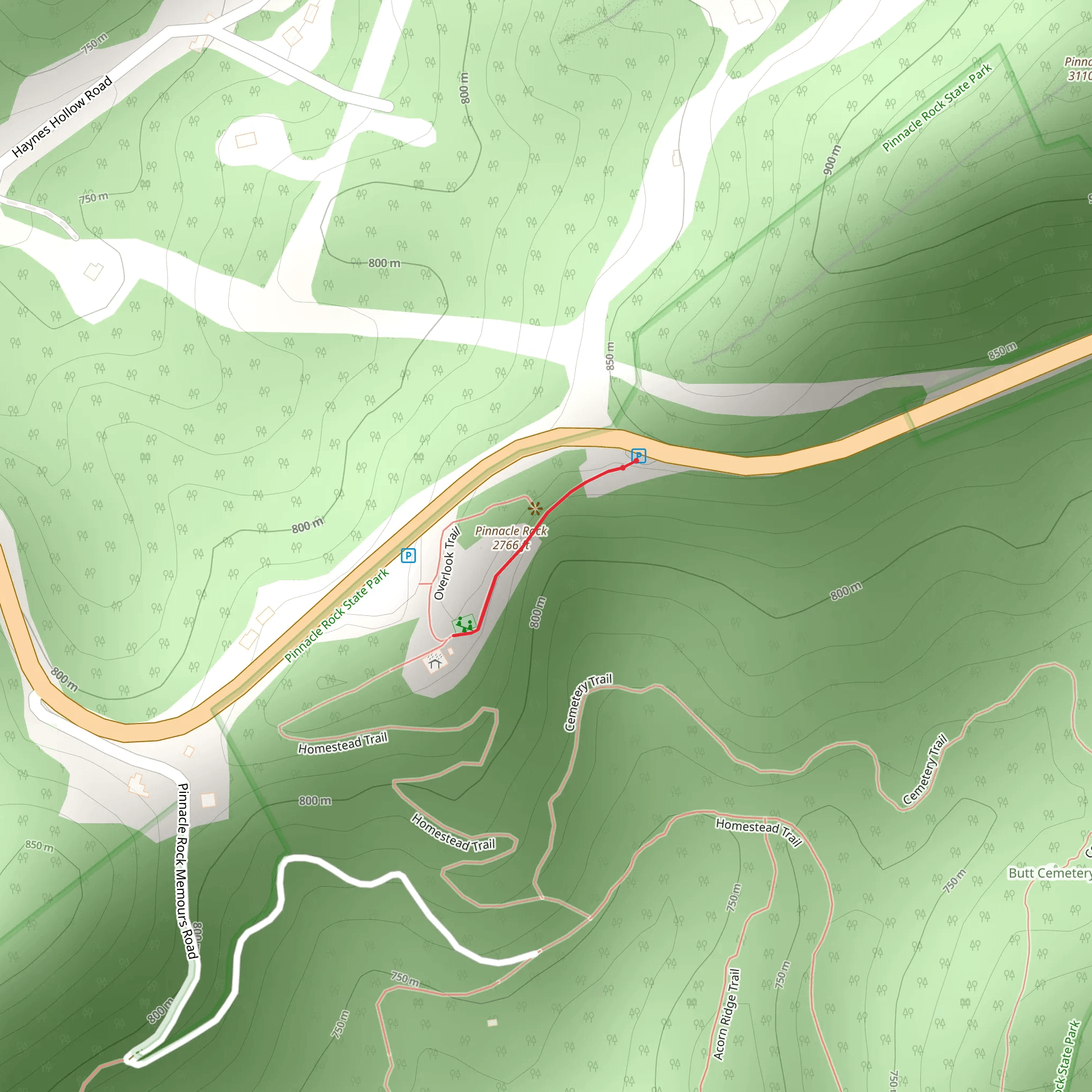 Pinnacle Rock mobile static map