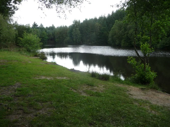 Speech House Lake Loop