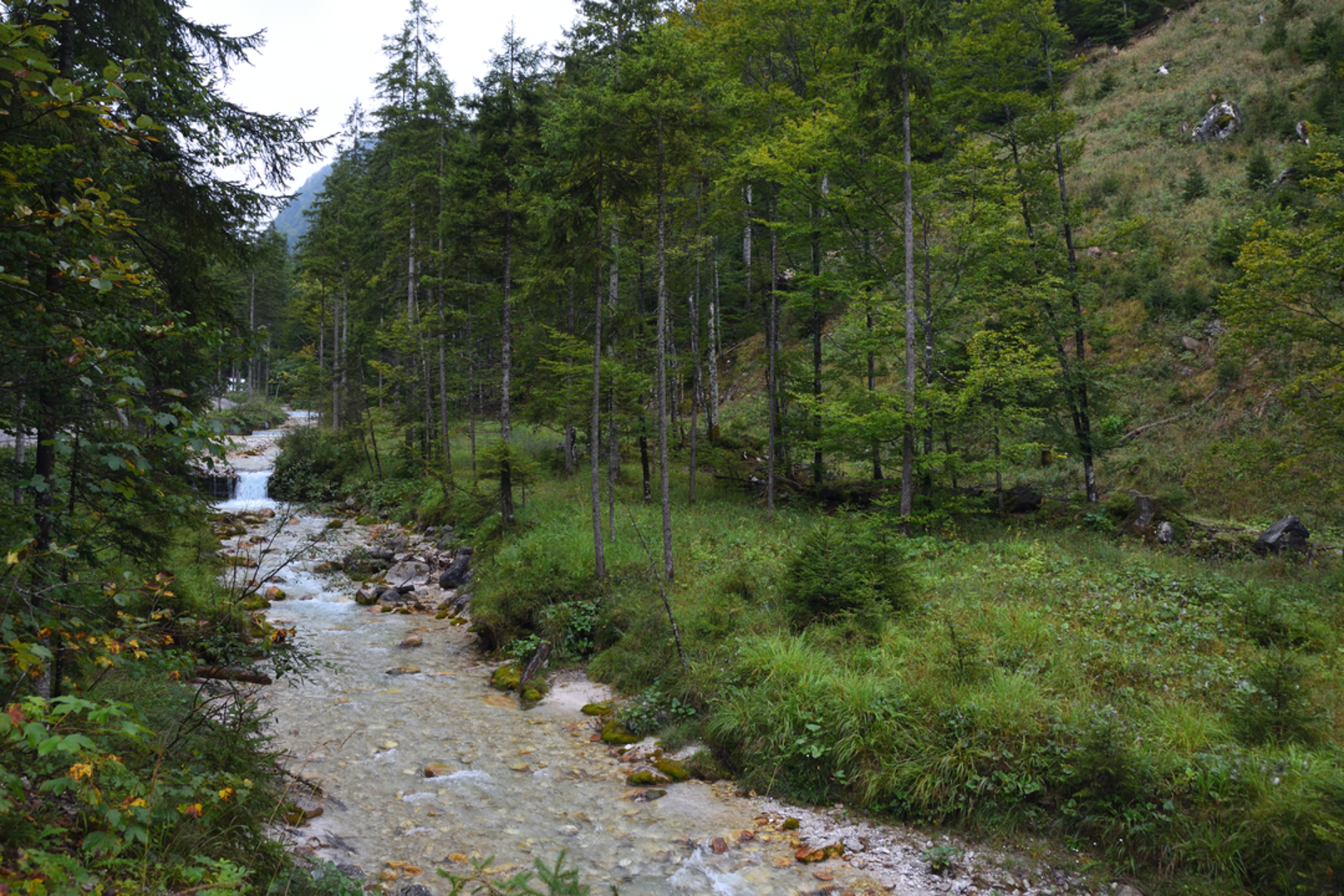An image depicting the trail Habernau - Almtalerhaus - Ring - Steyrling and its surrounding area.