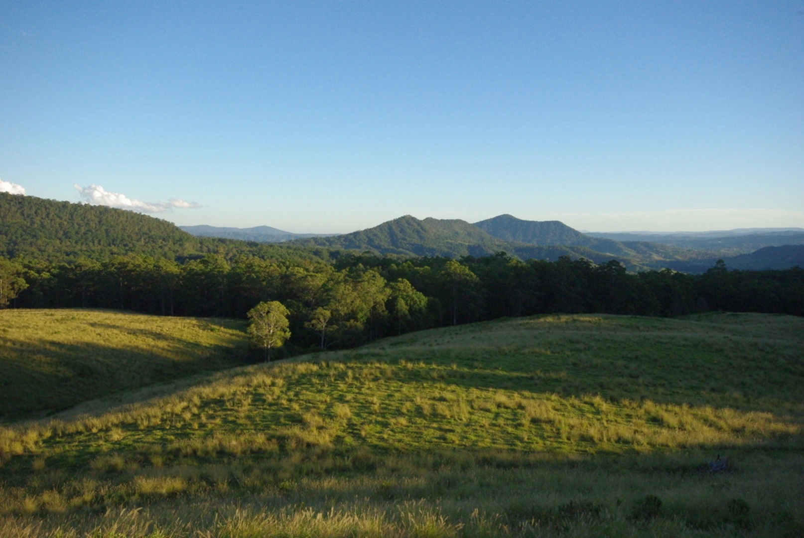 An image depicting the trail Rosewood Loop and its surrounding area.