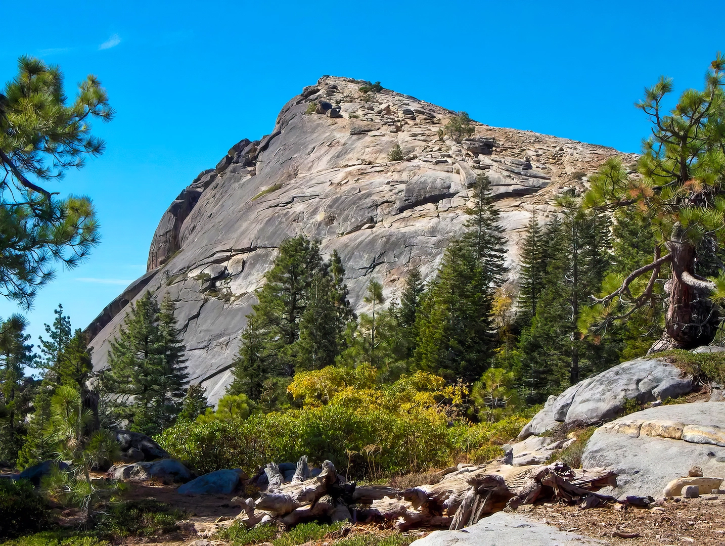 An image depicting the trail Fresno Dome Trail and its surrounding area.