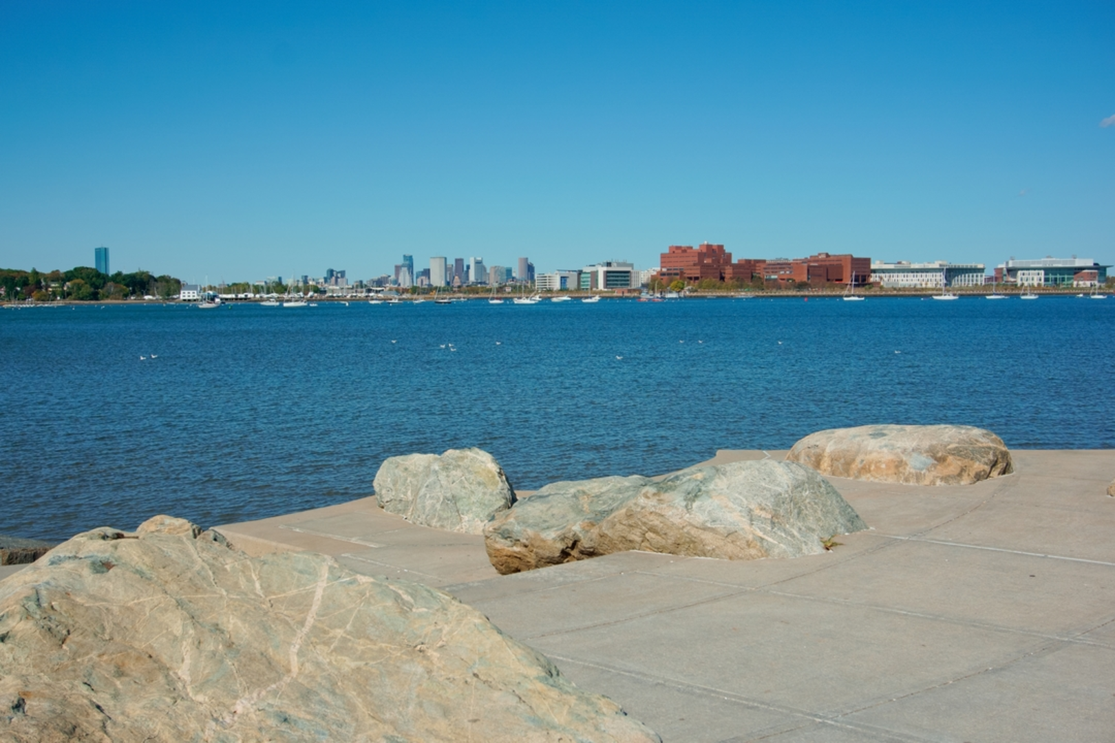 An image depicting the trail Squantum Point Park Trail and its surrounding area.