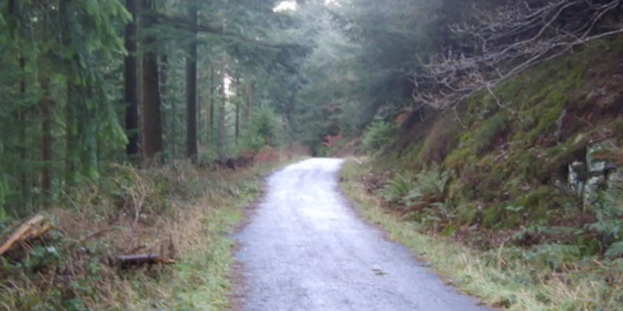 An image depicting the trail Dodd Summit Trail and its surrounding area.