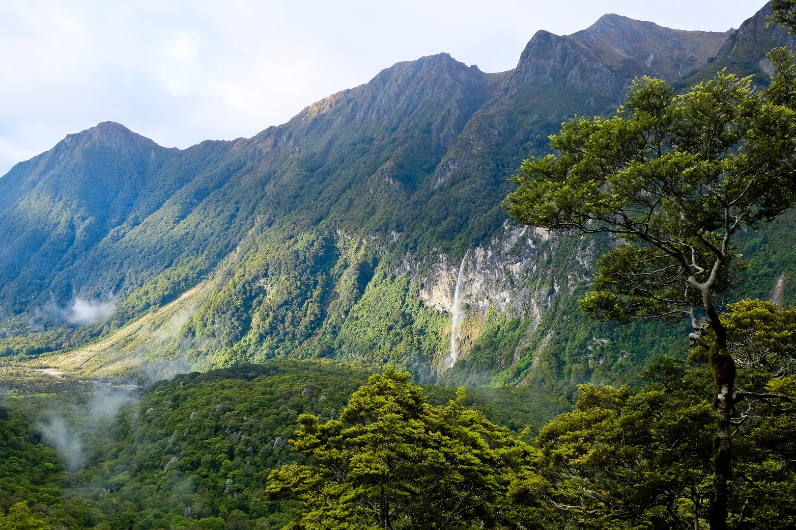 An image depicting the trail Visitor Centre to Kepler Track Carpark Walk and its surrounding area.