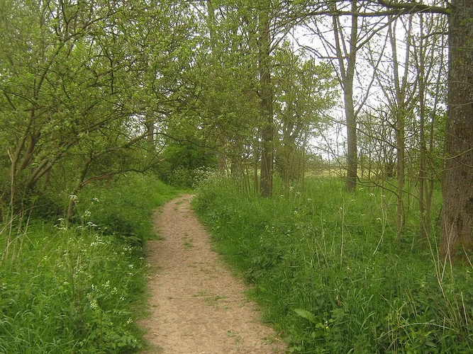 East Haxted Farm Airfield Loop