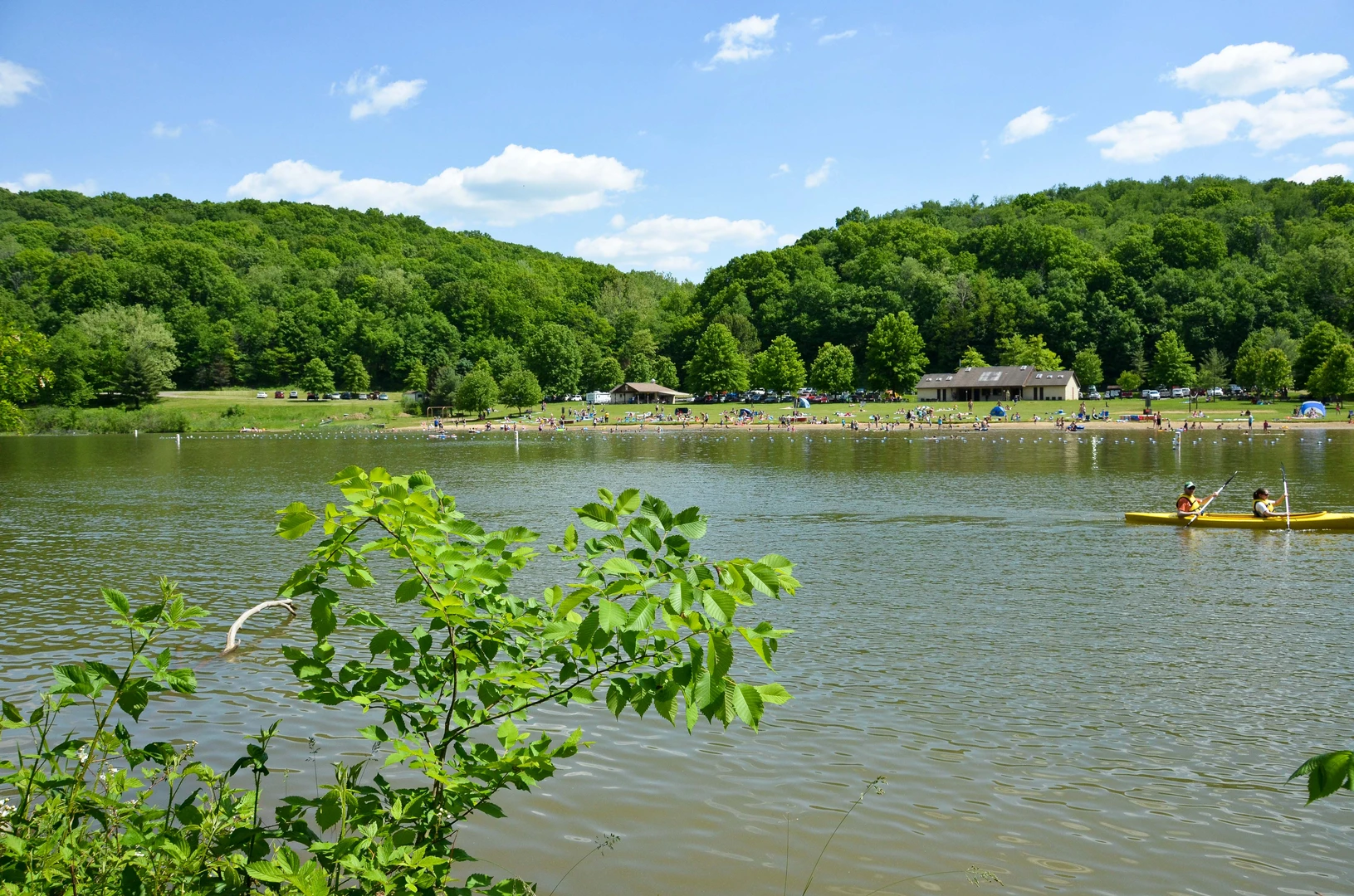 An image depicting the trail Raccoon State Park's Lake on Traverse Run Loop and its surrounding area.