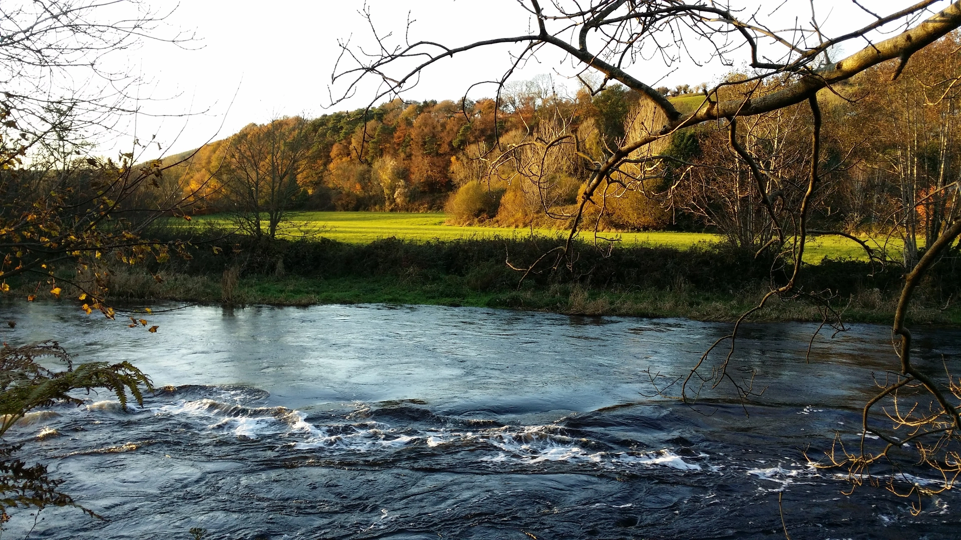 An image depicting the trail Ballincollig Gunpowder Trails - Military Trail and its surrounding area.