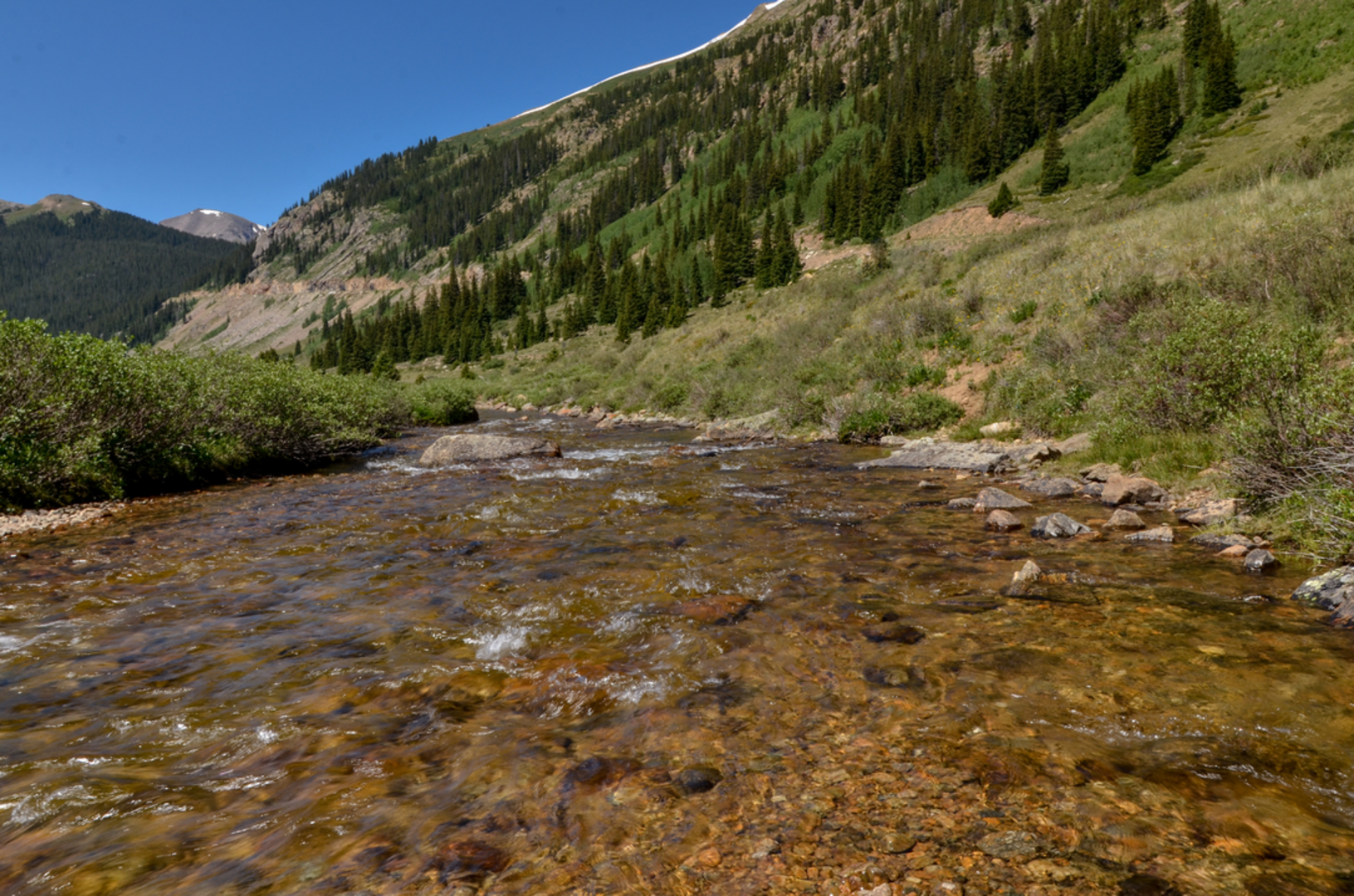 An image depicting the trail North Fork Lake Creek Trail and its surrounding area.