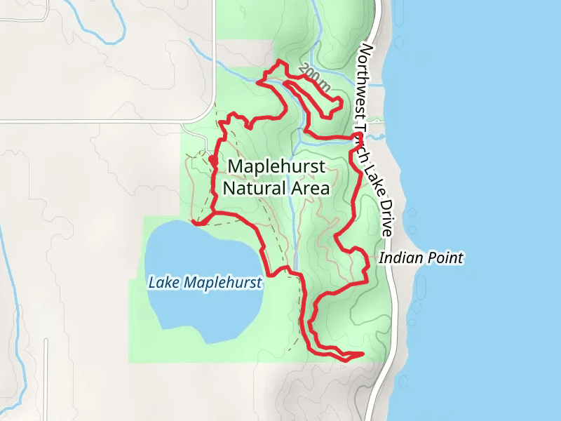 Maplehurst Natural Area Loop - Long