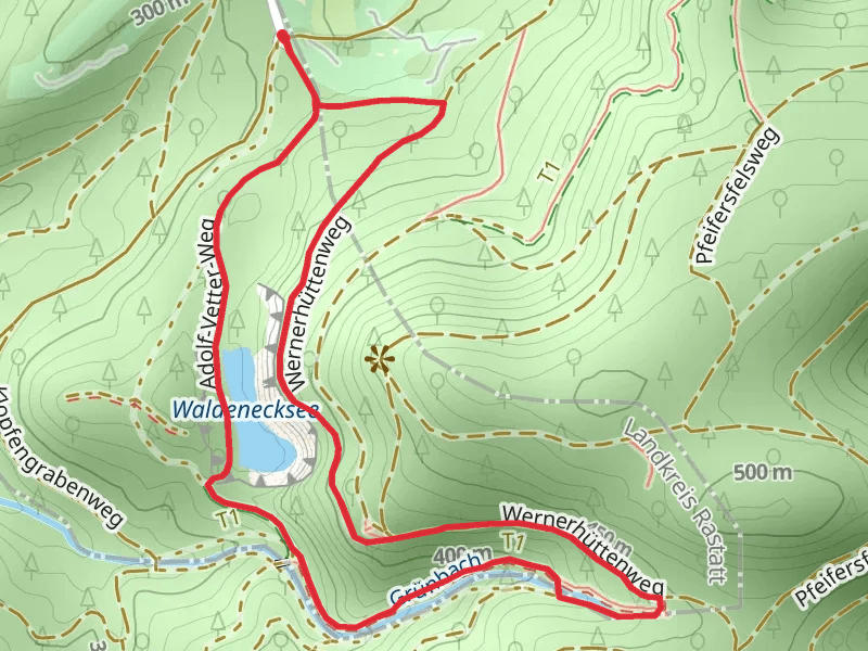 Waldenecksee via Adolf-Vetter-Weg and Wernerhüttenweg
