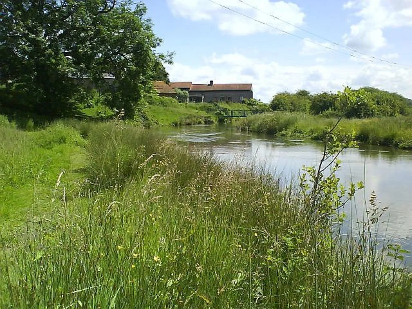 An image depicting the trail Hungerford Loop - West and its surrounding area.