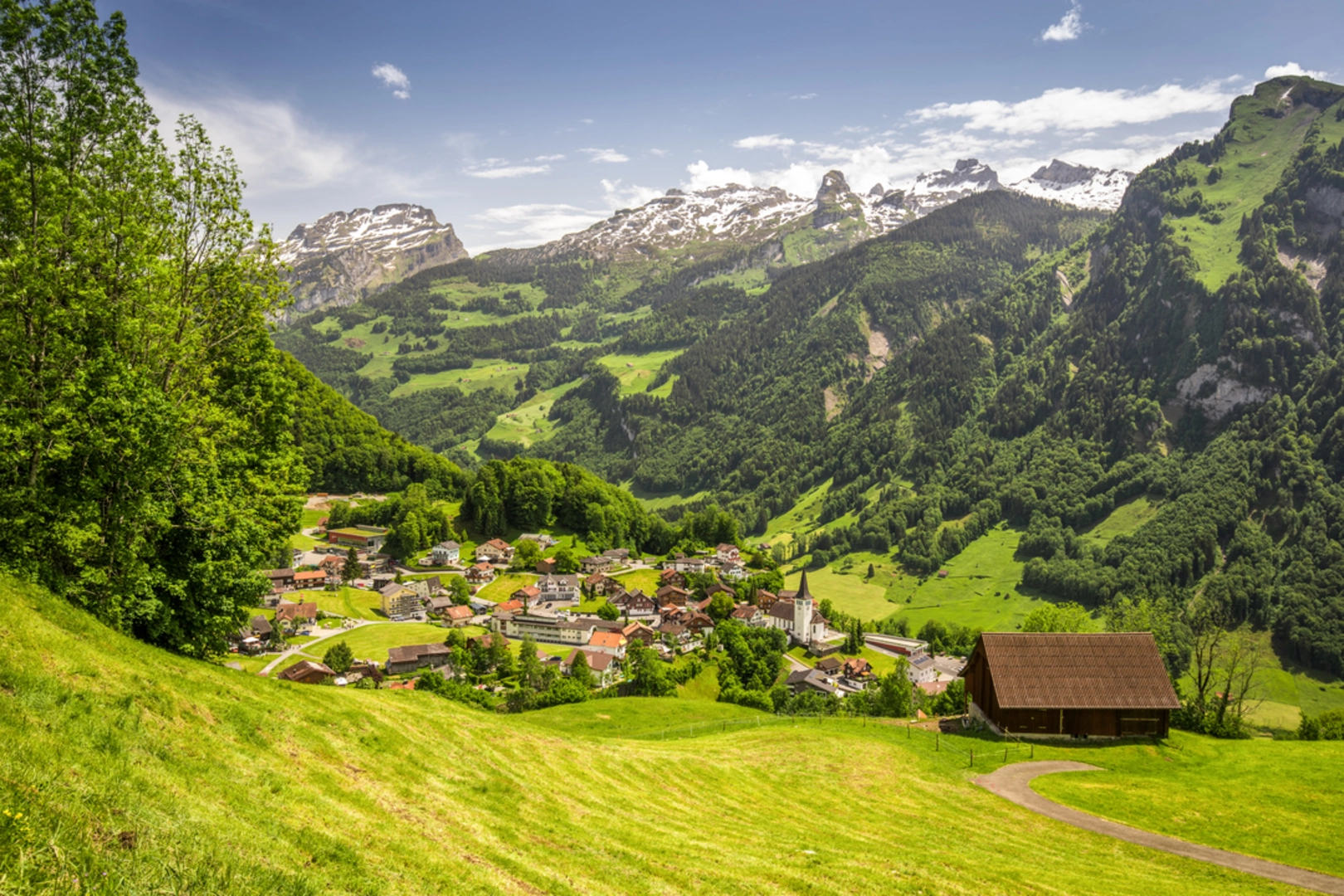 An image depicting the trail Aussicht Wander-Walkingtrail Illgau and its surrounding area.