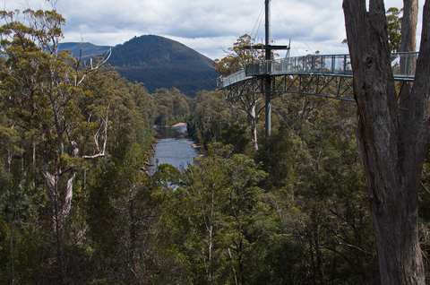 Tahune Air Walk