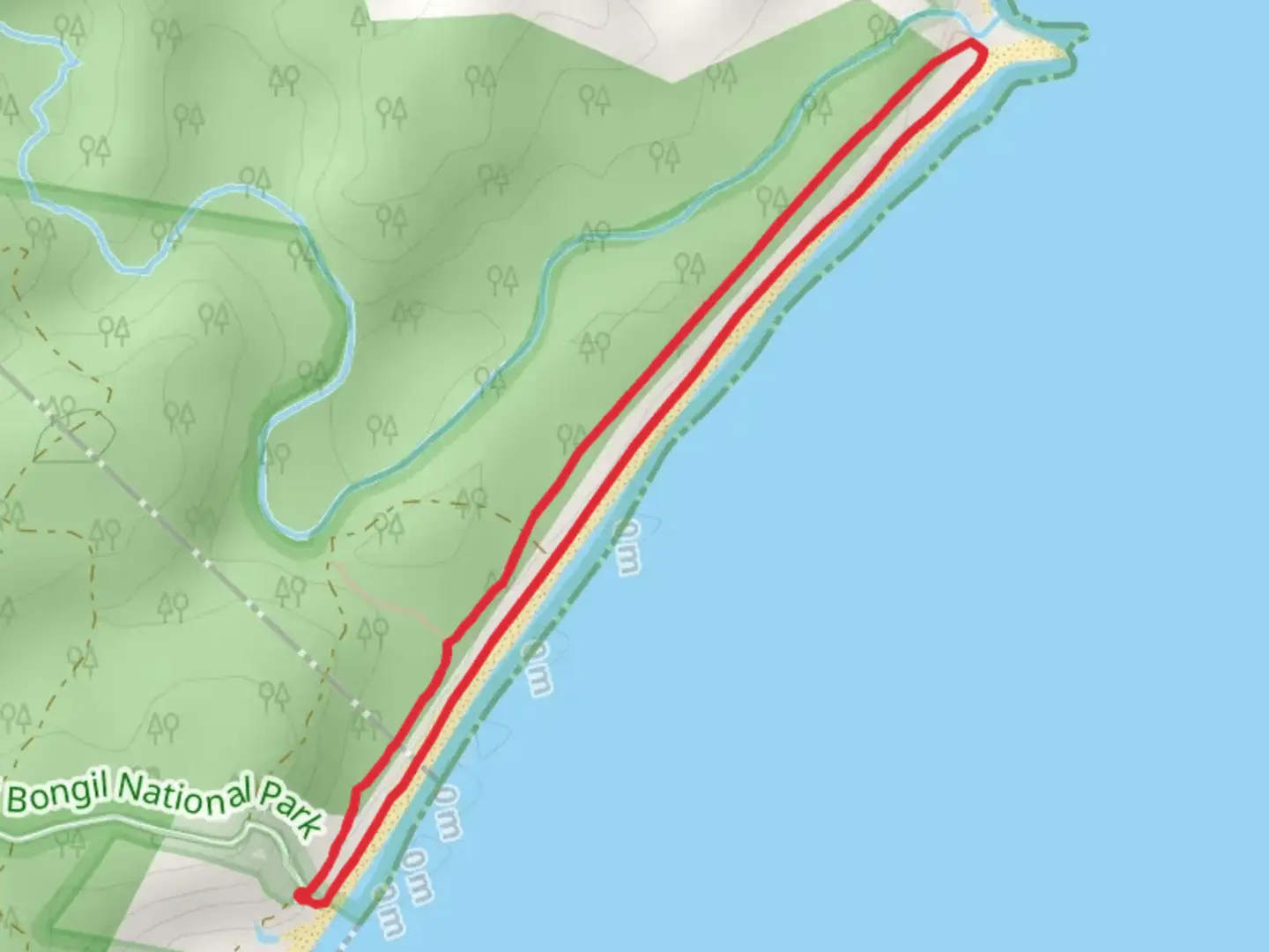 An image depicting the trail Bundageree Rainforest Walk and its surrounding area.