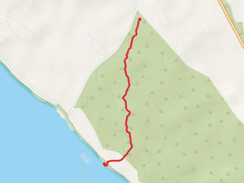Bonney Reserve Nature Trail
