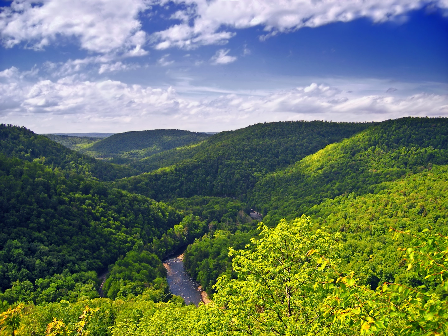 An image depicting the trail Sones Pond High Rock Trail Loop and its surrounding area.
