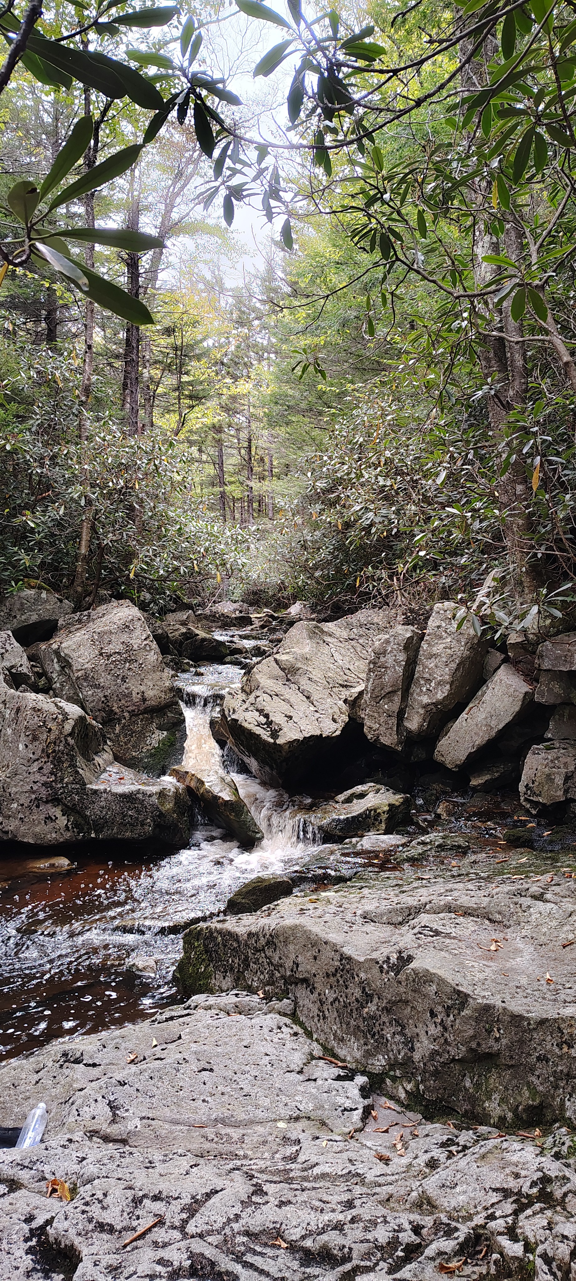 A map preview of the recording dolly sods day 2.