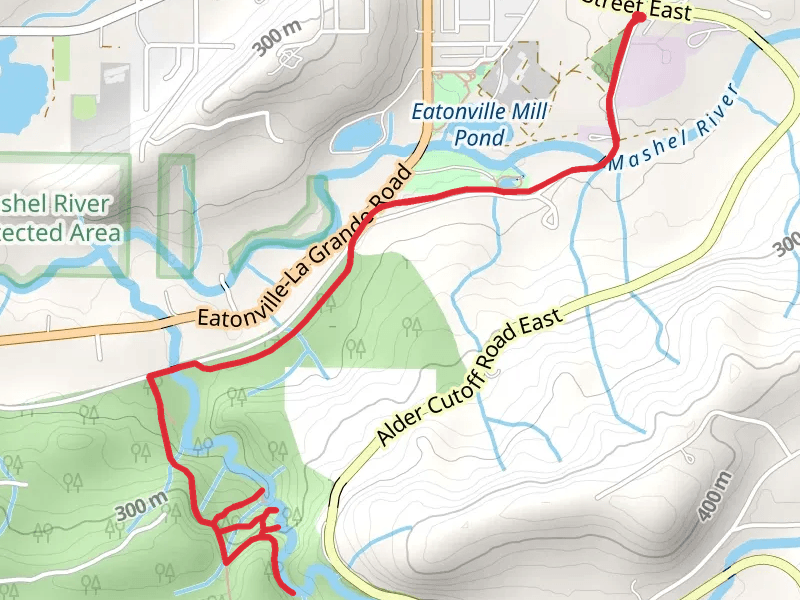 Bud Blancher Trail and Little Mashel River and Falls