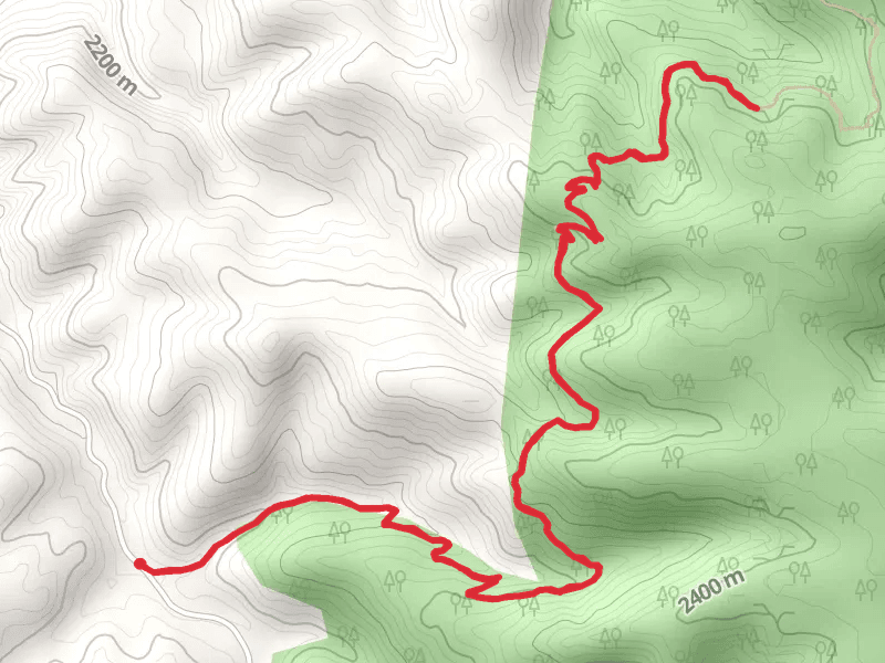 Beall Trail Out and Back