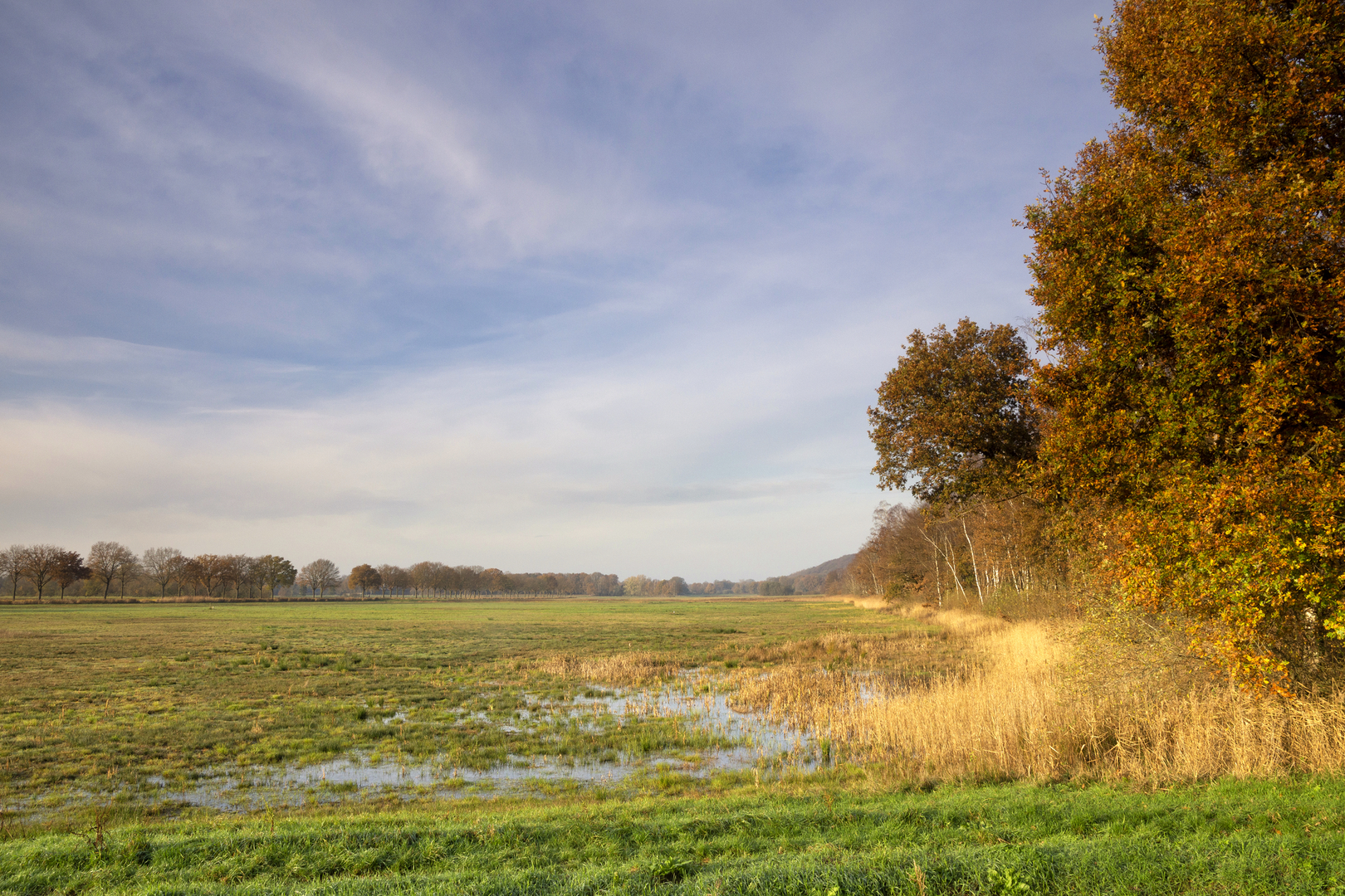 An image depicting the trail De Diepen Loop and its surrounding area.