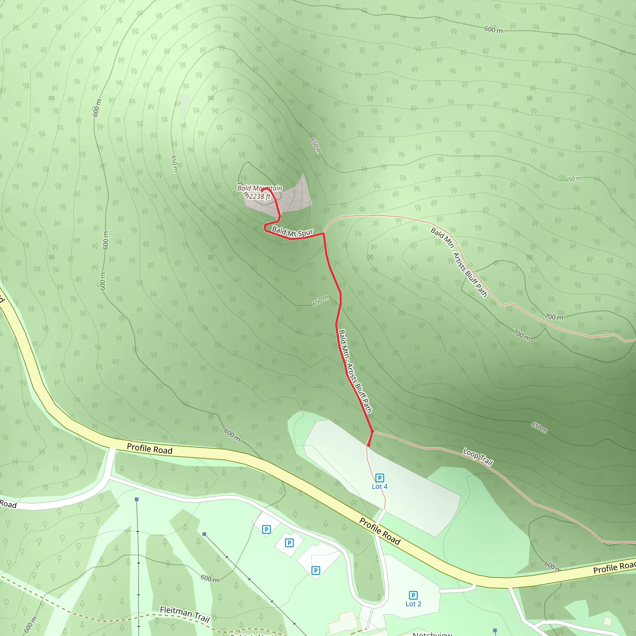 Bald Mountain from Profile Road mobile static map