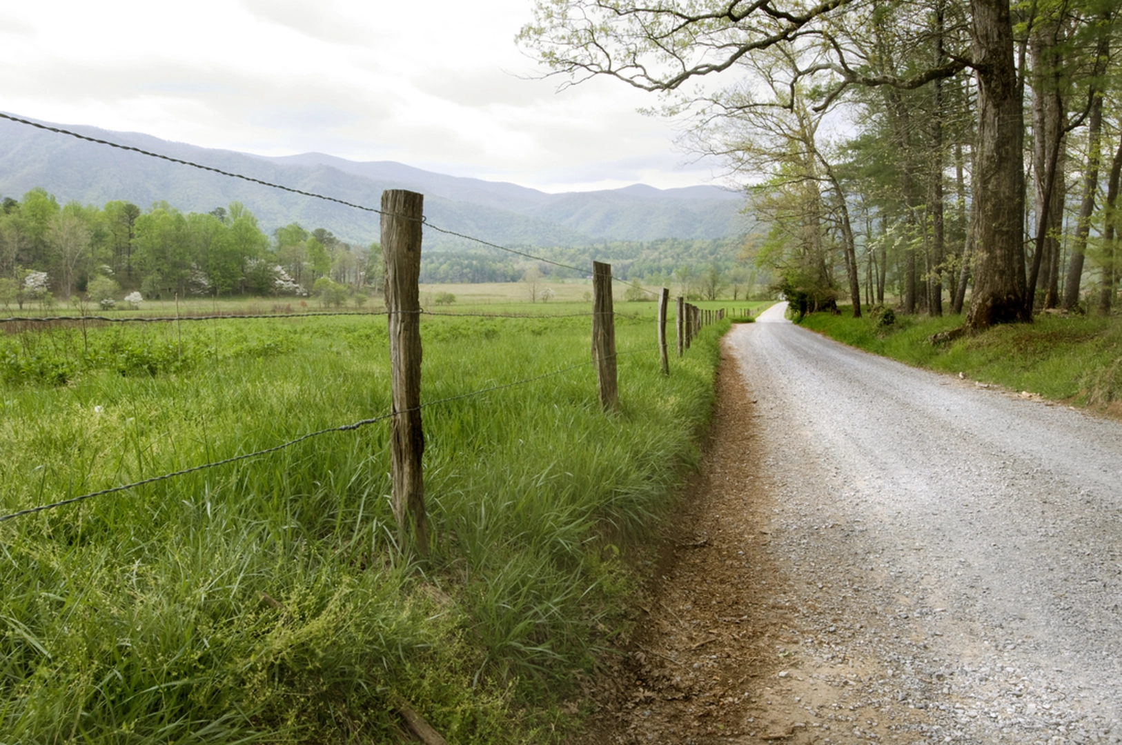 An image depicting the trail Cades Cove Nature Trail and its surrounding area.