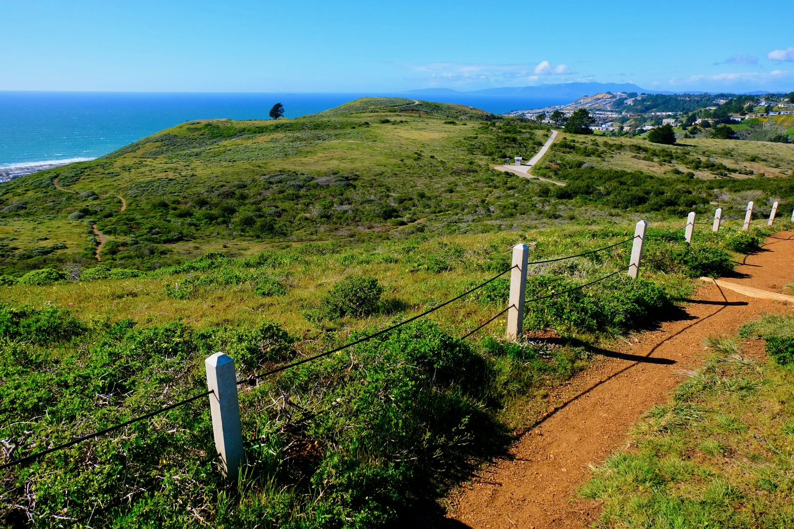 An image depicting the trail Milagra Ridge Loop Trail and its surrounding area.