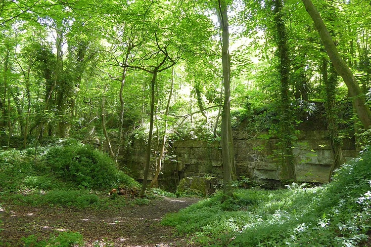 Pickering Eastern Loop
