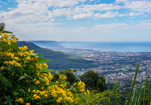Mount Keira Ring Track