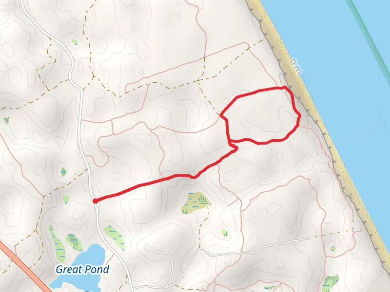 Featherbed Swamp Trail
