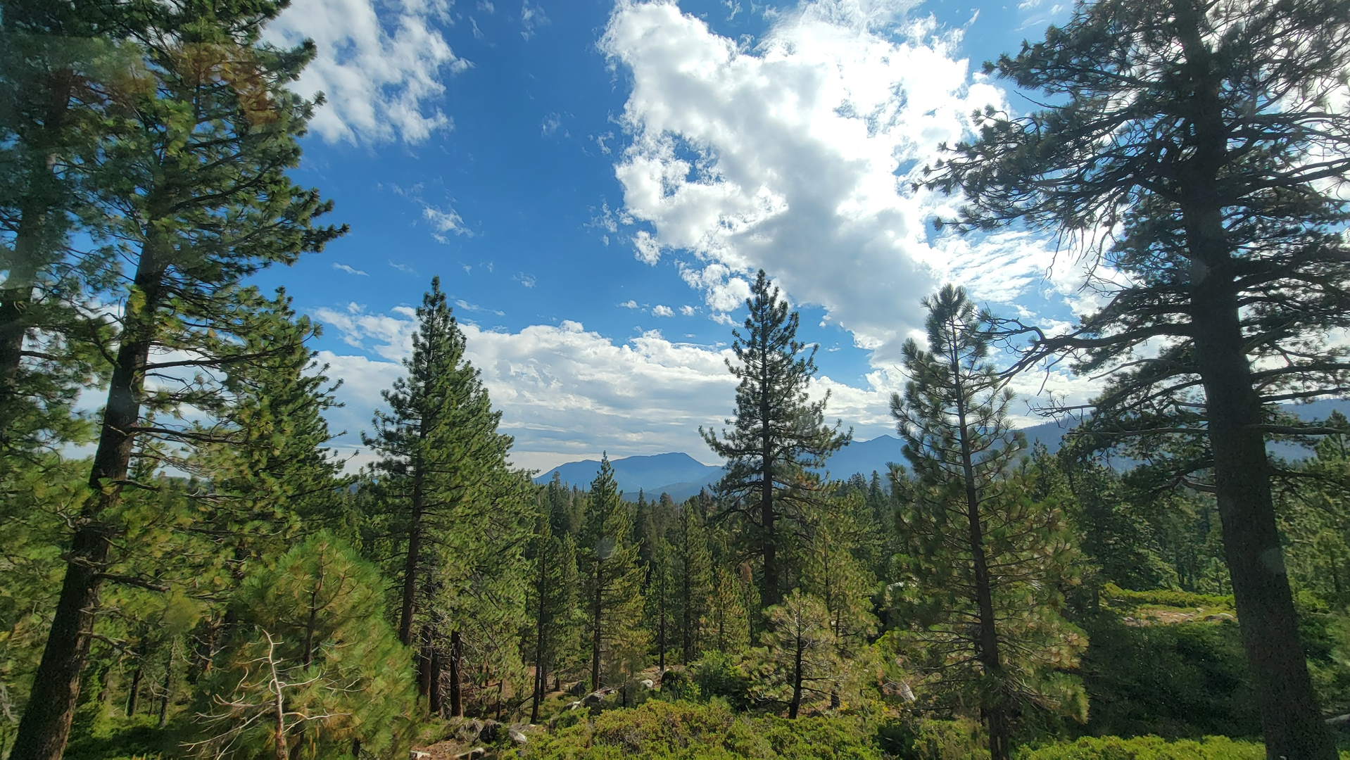 An image depicting the trail Barker Pass Road and Denney Road and its surrounding area.