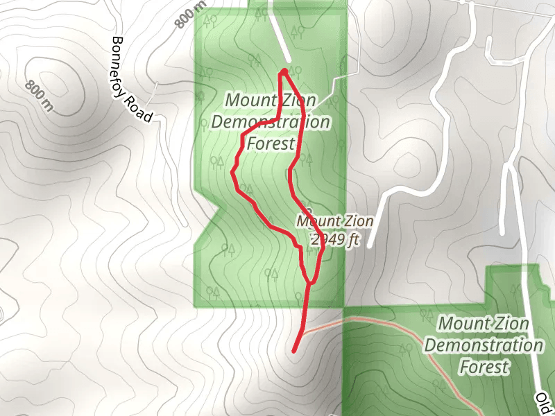 Mount Zion Demonstration Forest Loop