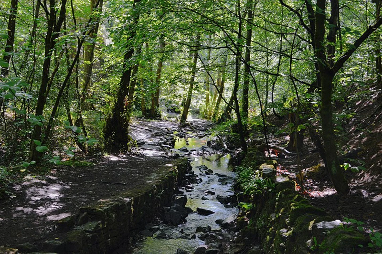 An image depicting the trail Sheffield Round and its surrounding area.