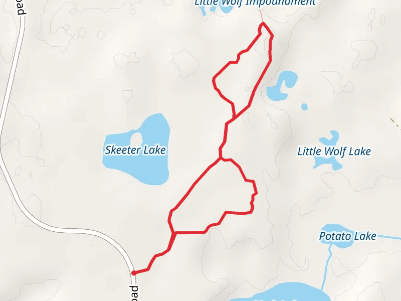 Skeeter Lake Hunter Loop Trail