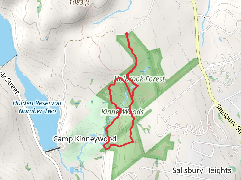 Kinney Woods and Holbrook Forest Loop