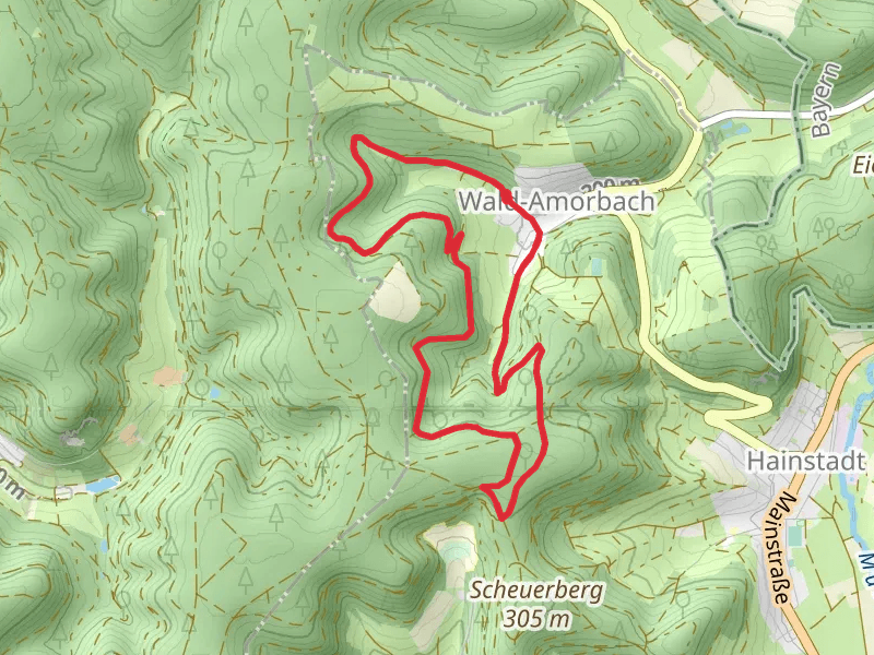 Wald-Amorbach Loop