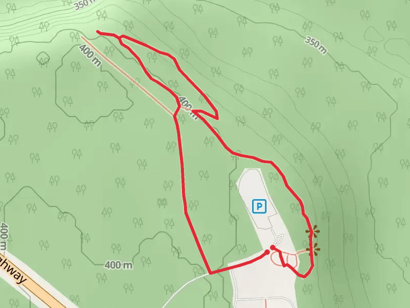 Boreal Forest and Copper River Bluff Loop Trail