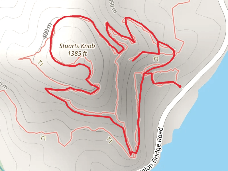 Iron Mine and Stuart's Knob Loop Trail