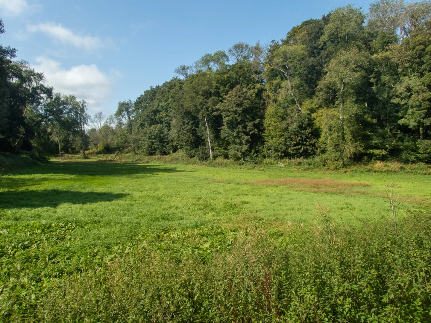 Newark Park, Boxwell and Wortley Loop Walk | Gloucestershire | England