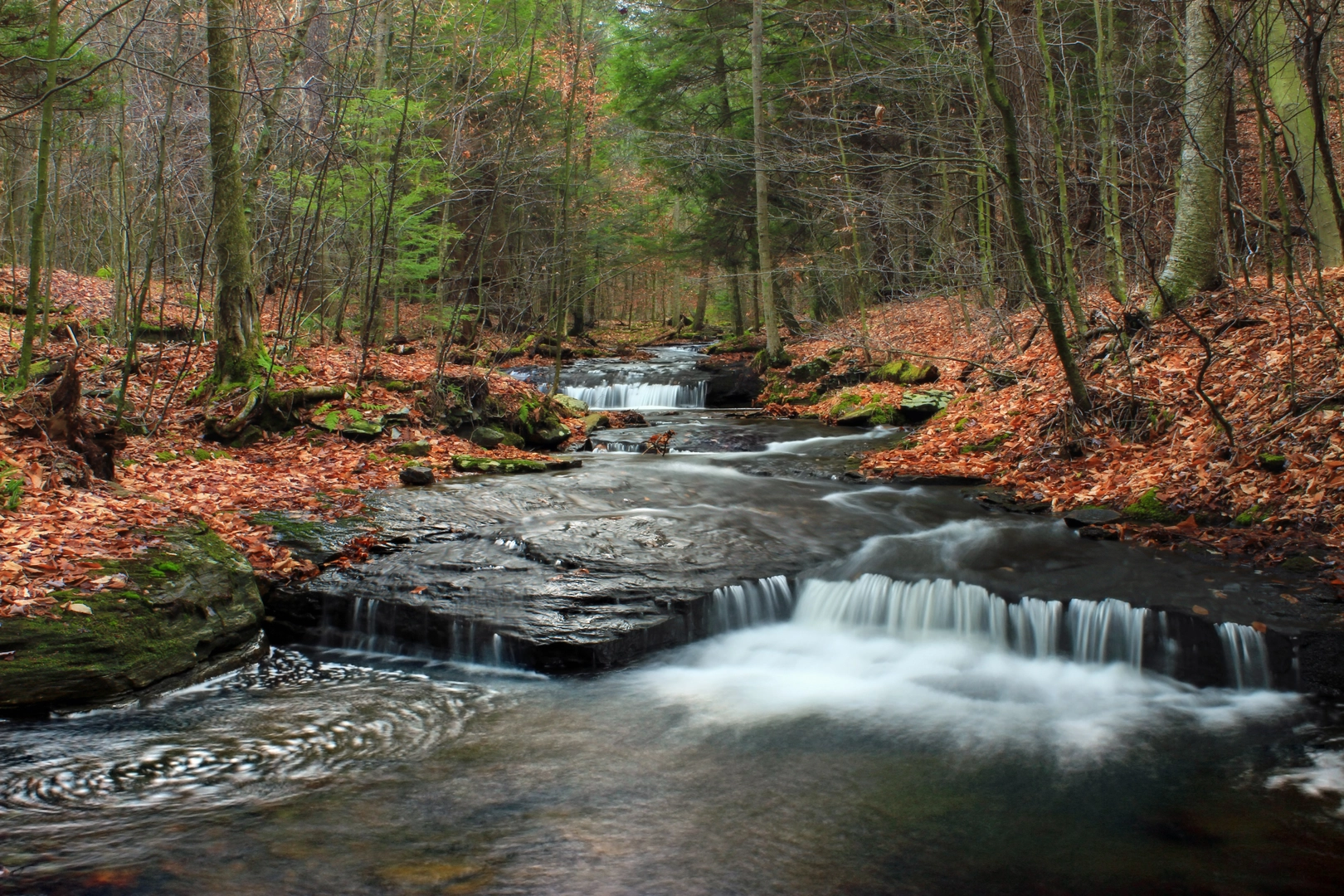 An image depicting the trail Ketchum Run and Loyalsock Trail and its surrounding area.