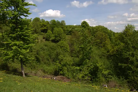 Hainberg Loop via Oberasbacher Rundweg