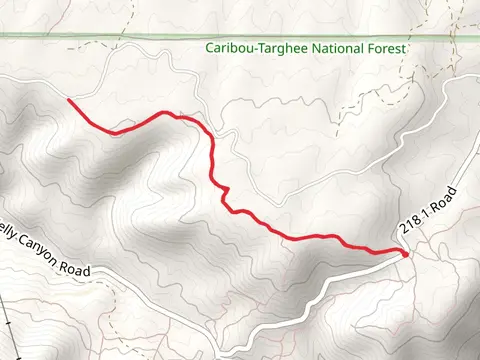 Buckskin Morgan Ridge Trail