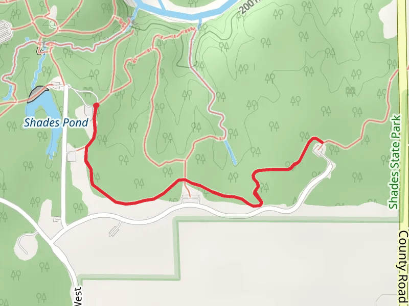 Walk near Shades Pond