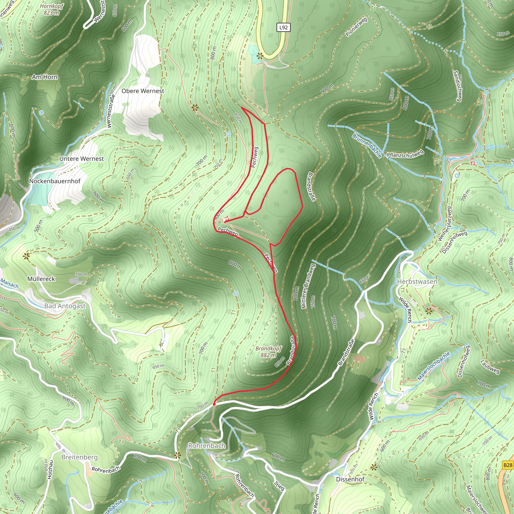 Buchkopftrum Loop mobile static map