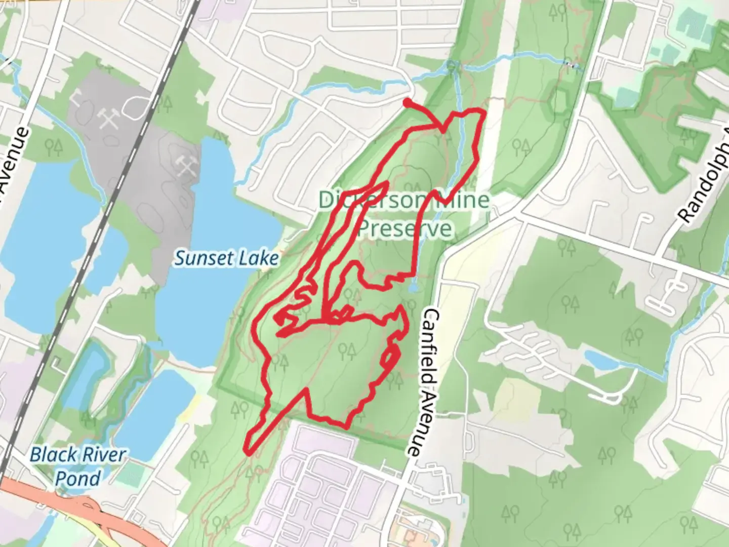 An image depicting the trail Old Dickerson Mine and Canfield Mine Loop Trail and its surrounding area.