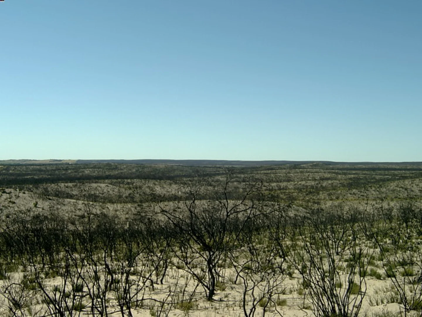 An image depicting the trail Tyms Lookout Walk and its surrounding area.
