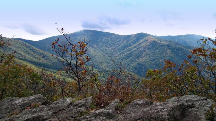 Millers Head Trail