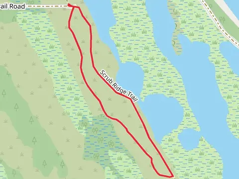Scrub Ridge Loop Trail
