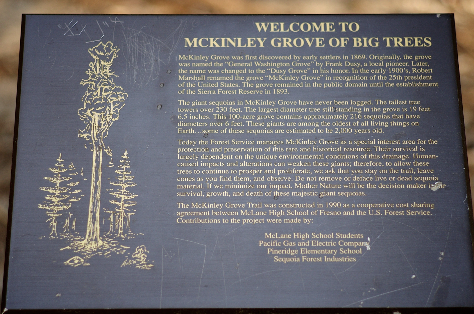 An image depicting the trail McKinley Grove Short Loop and its surrounding area.