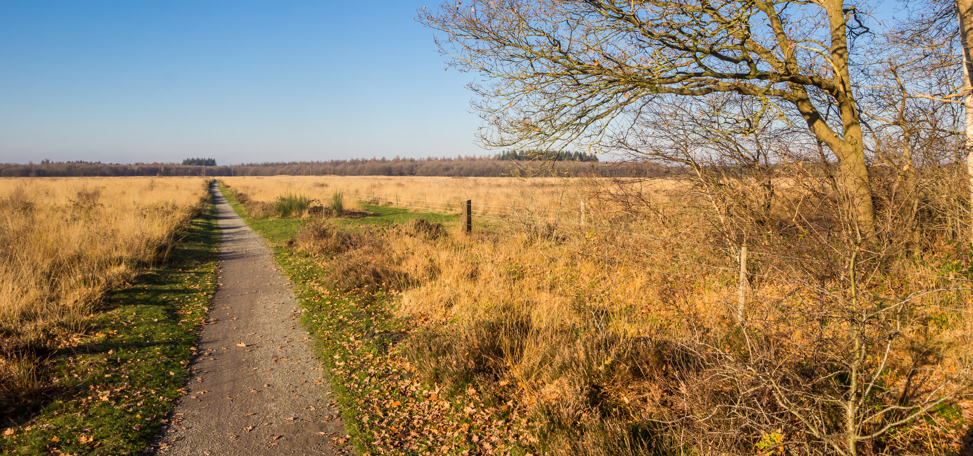 An image depicting the trail Achter Het Hout and Schilen Veen via Voorste Weg and its surrounding area.